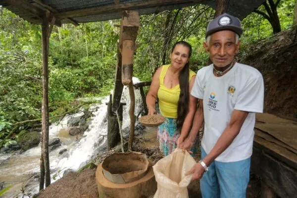 Da banana ao café de excelência: produtores do Vale do Ribeira conquistam espaço no mercado de arábica premium